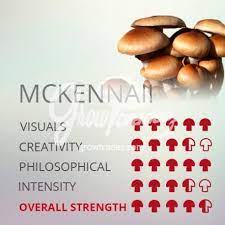 mckennaii mushroom