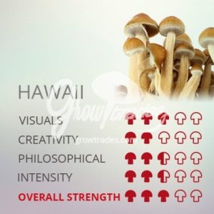 hawaii mushrooms