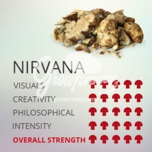 nirvana center