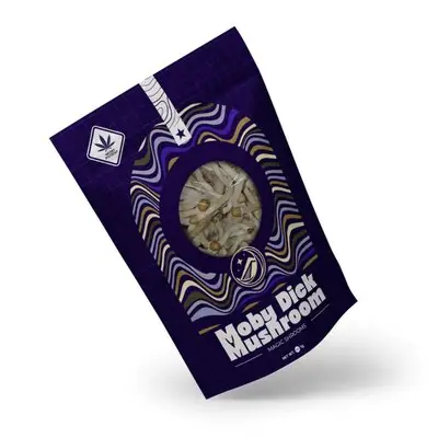 Moby Dick Magic Mushroom: Properties, Effects, and Legal Wellness Alternatives Moby Dick magic mushroom (Psilocybe cubensis) – Educational guide showing pale caps, bluish bruising, and thick stems with cultivation and research insights